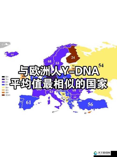 欧洲人与亚洲人的 DNA 对比之差异及影响因素分析