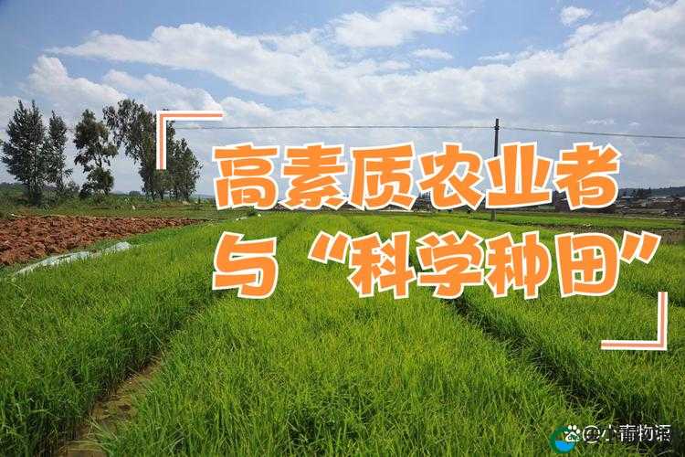 精准灌溉系统 hpc 蜜丸：开启高效节水农业新时代的创新力量