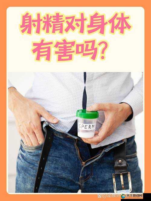 璜铯 7777 之独特魅力与无限可能的深入探讨