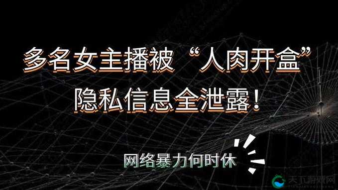 网爆门视频在线观看:私密视频泄露引发的风暴
