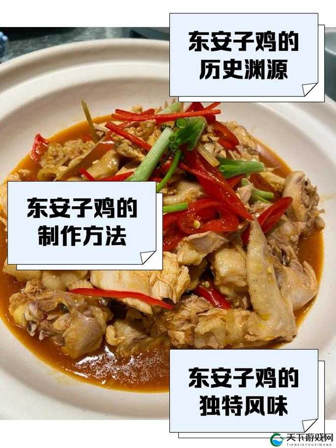 关键词的魅力与运用——以东安子鸡为例探索美食与文化
