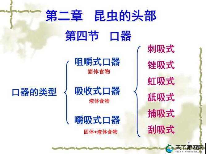 关于性盈盈网站的完整性探讨与分析