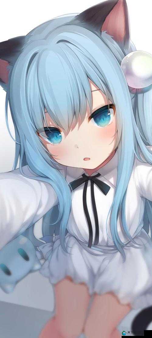 成全视频动漫免费高清畅享无极限