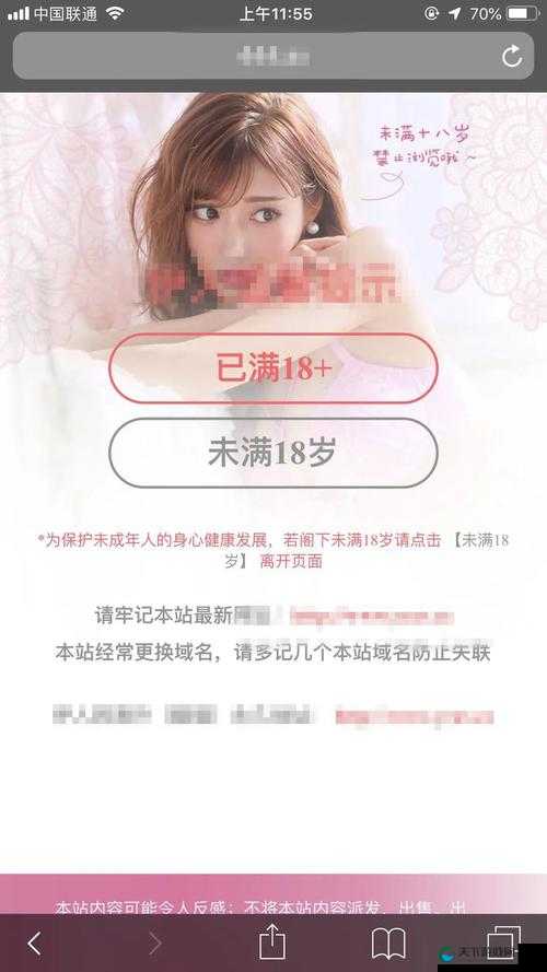 有成年人网站吗:是否存在成年人网站及相关风险