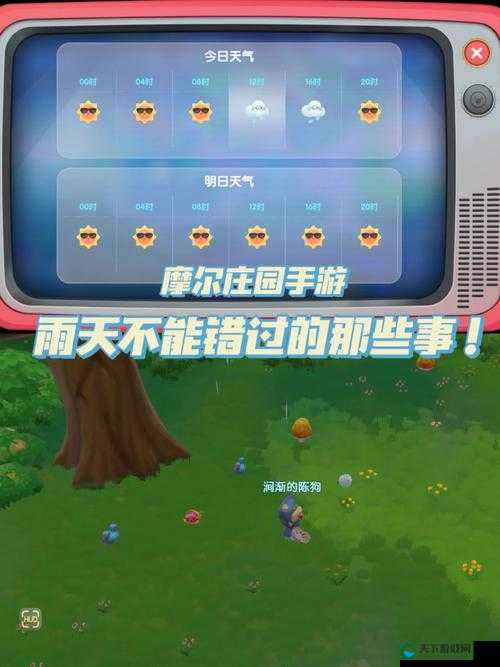 摩尔庄园手游下雨天气时间查询攻略