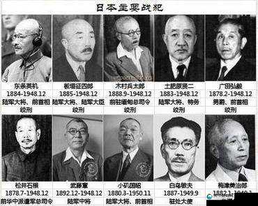 日本一品和二品区别:探究其背后的文化与传统因素