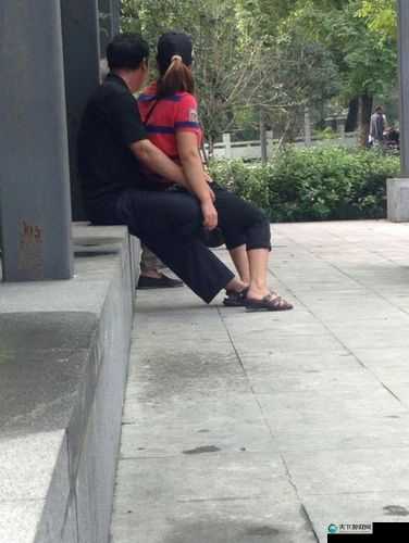 老人做交易森林现场网站：探寻背后的隐秘交易与生态危机