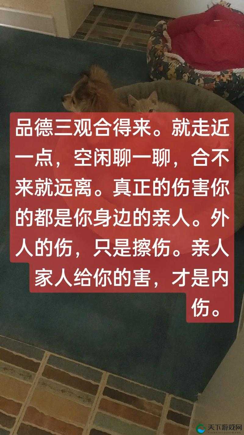 关于禁处受辱的深度剖析与探讨其背后的复杂成因及影响