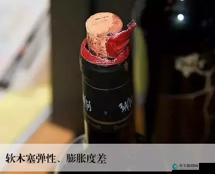 用红酒瓶塞堵住不能流下来之相关问题探讨与分析