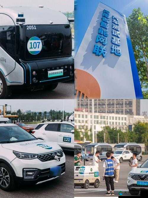 cls 区 2024 地址变更相关事宜探讨
