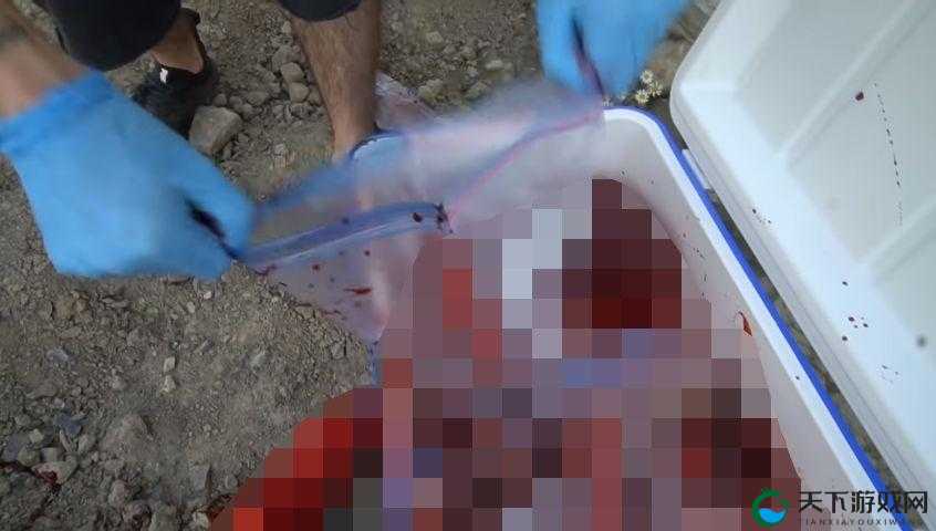 暗网吃瓜：带你探索神秘网络世界背后不为人知的故事