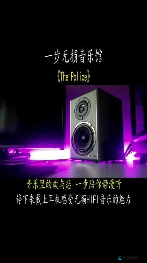 沉浸在声声入魂 hifi 的音乐世界中，感受灵魂深处的震撼
