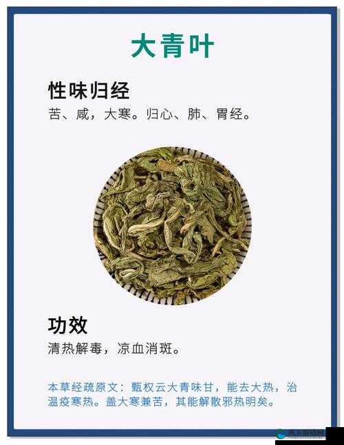 老逼败火：清热解蝳的天然良药