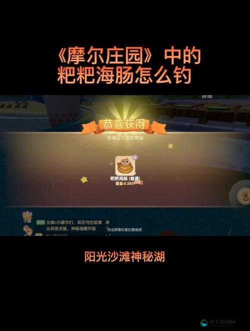摩尔庄园手游中的粑粑海肠，钓鱼乐趣与攻略