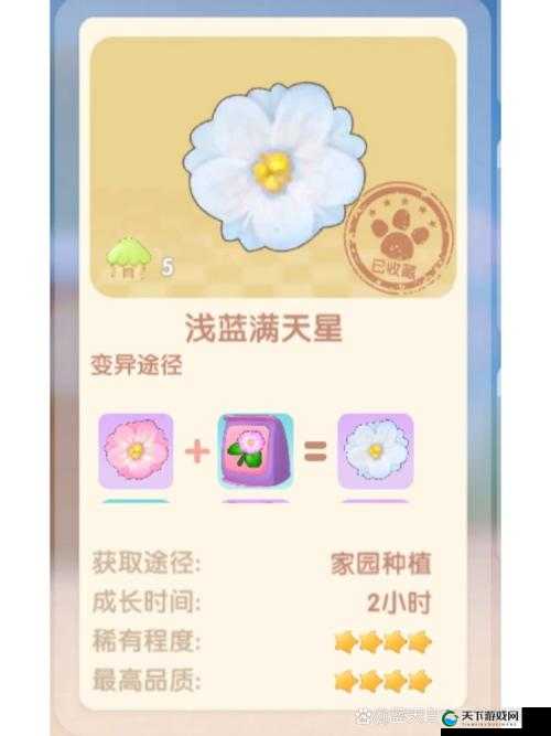 摩尔庄园手游，满天星花的收集与利用全攻略