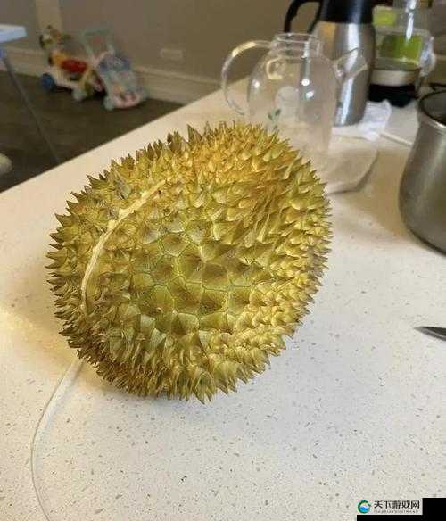 草莓榴莲丝瓜绿巨人秋的奇妙组合与秋季故事