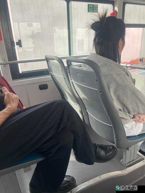 公交车被多人伦 H 吃产卵药：震惊背后的真相令人发指