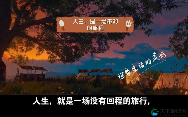 五十路初摄：探寻人生五十岁的未知领域