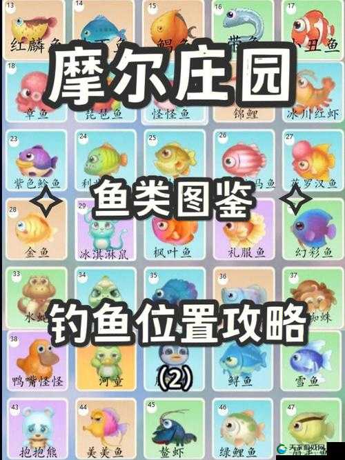 摩尔庄园龙虾获得全攻略，解锁你的钓鱼大师之路