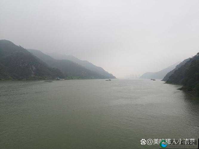 清风阁我爱干视频：探寻其中独特魅力与精彩瞬间
