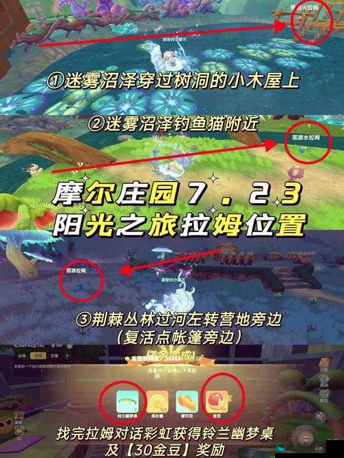 摩尔庄园手游，揭秘洛克神秘踪迹与独特喜好