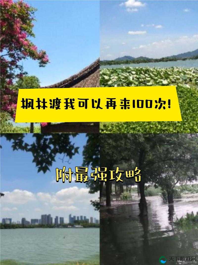 区一区二啊～疼轻点：探寻别样体验中的微妙感受