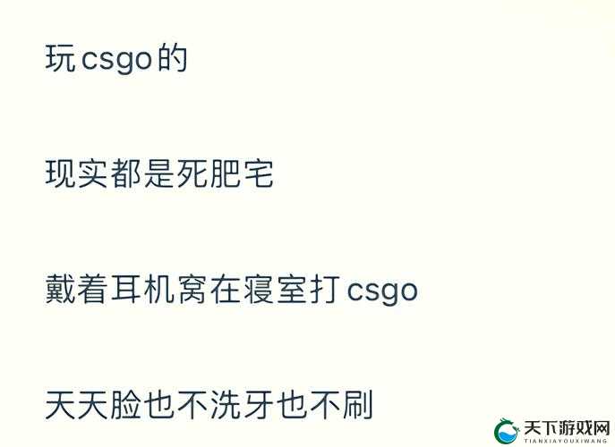 暴躁老阿姨 CSGO 剧情深度剖析与解读