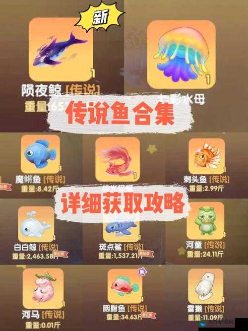 摩尔庄园手游钓鱼要点分享，资源管理的艺术