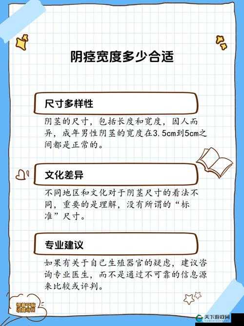 关于阳具尺寸合适的选择探讨及相关标准分析