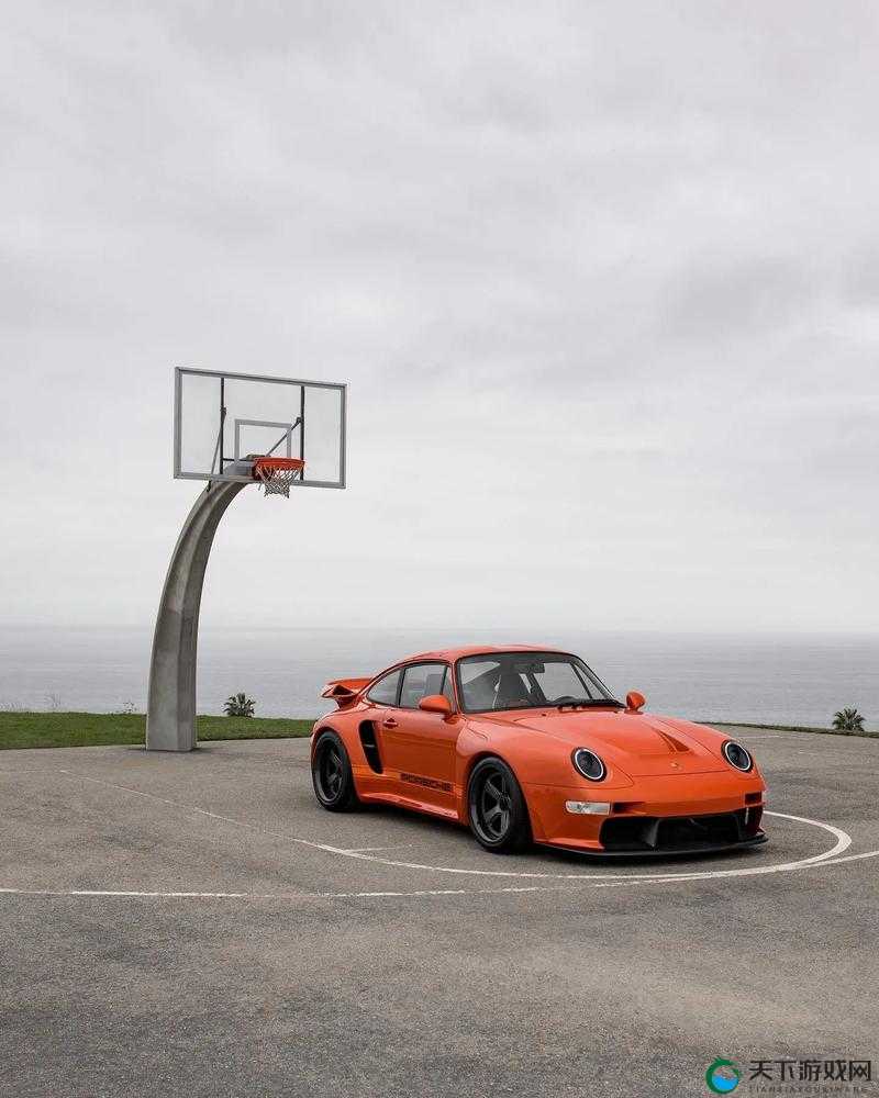 718sx 传送门 2024：一个具有特殊意义的重要事物