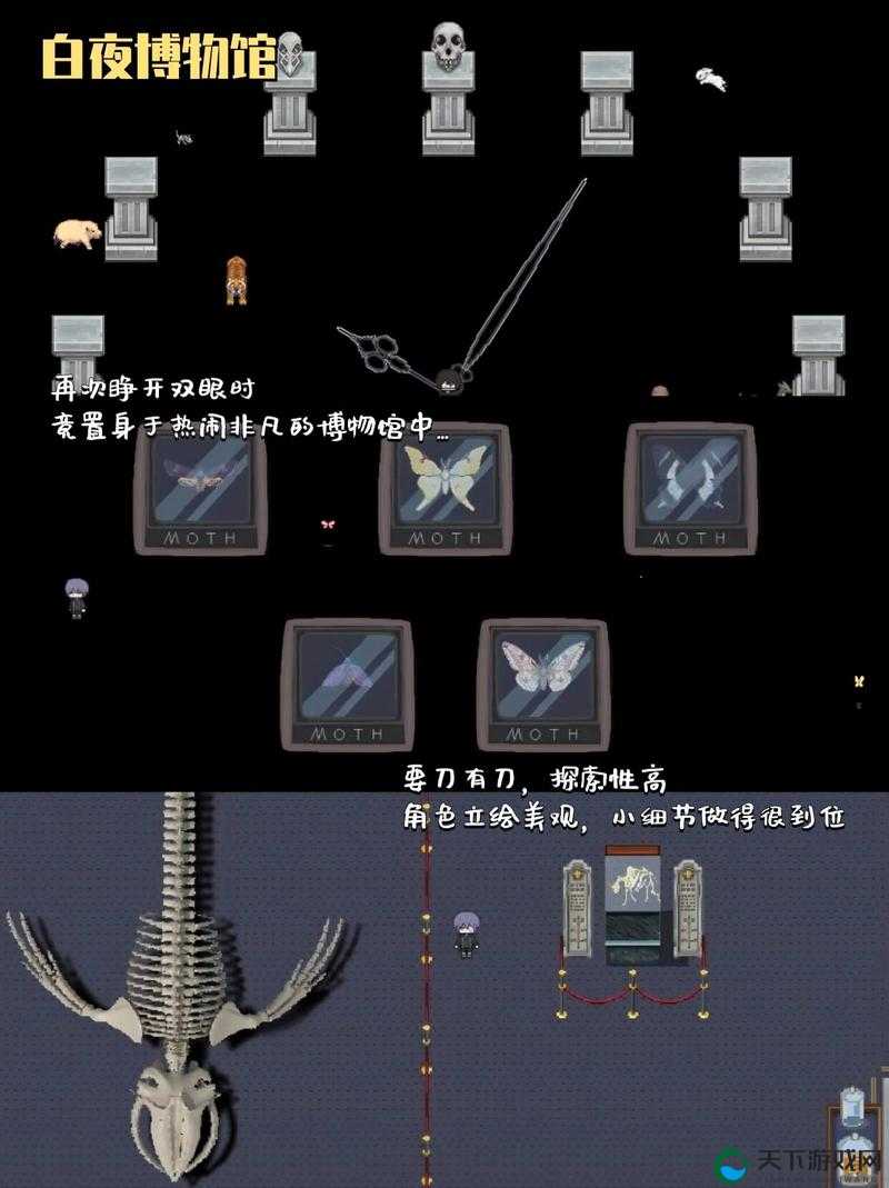 交替轮换 4：探索未知的无限可能