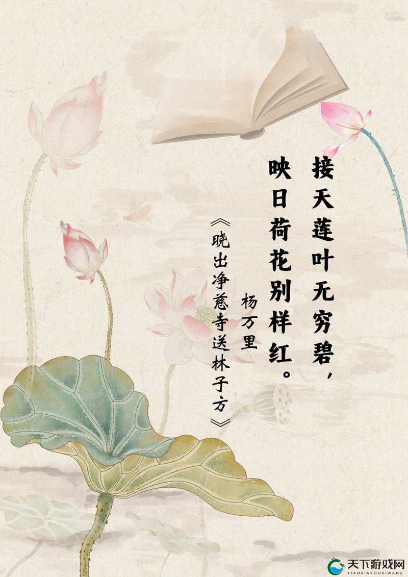 江湖悠悠，莲花之韵，悠然自得