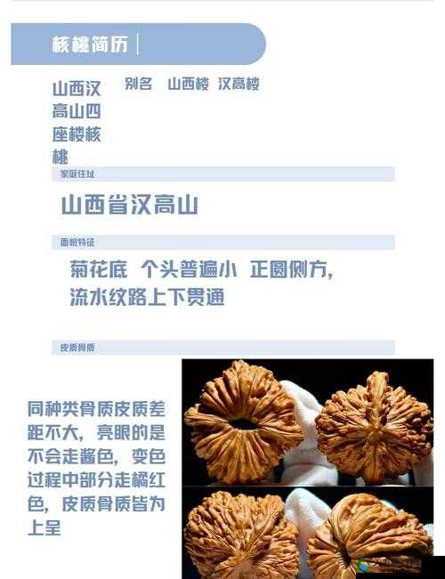 国产精品大全国产精品：展现中国精品的独特魅力与卓越品质