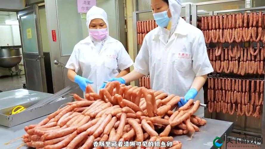 51 大豆行情网仙踪林老狼广告介绍:大豆市场行情一网打尽