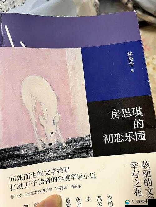她无法说出的故事：房思琪的初恋乐园