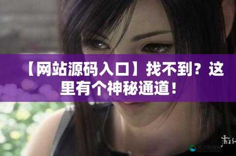成品网站入口网页版怎样评测：全面细致分析与评估指南