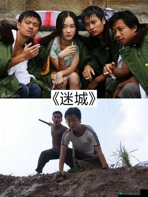 b 站在线观看：海量精彩视频等你来发现