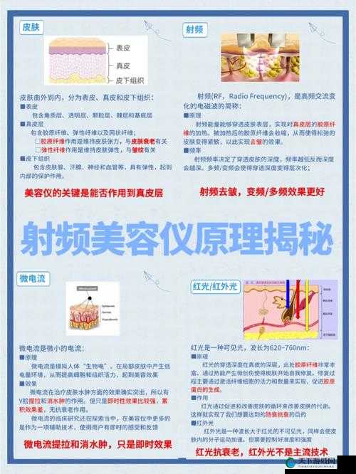 433MH2 射频对人体有影响吗：详细解读与科学分析
