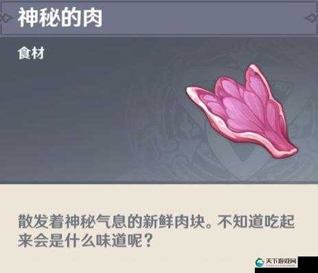 原神水里的肉是什么