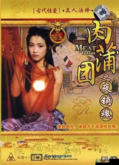 国产伦精品午夜剧场：深夜中的视觉盛宴，让你欲罢不能