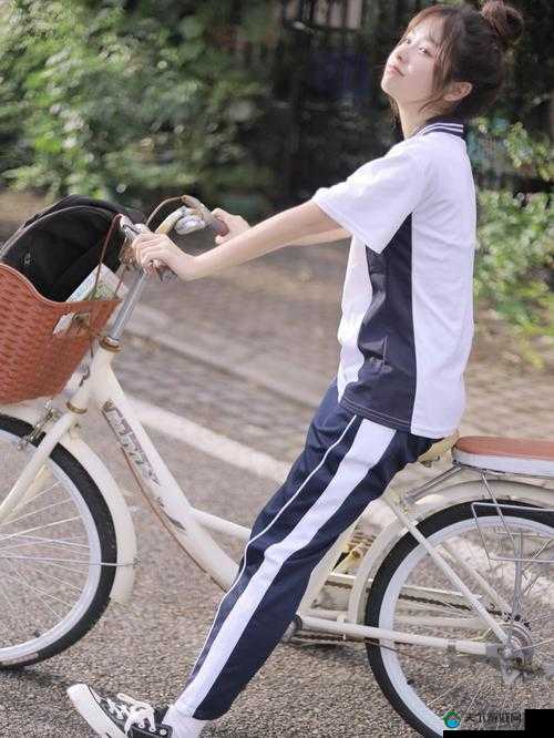 17 岁日本高清免费观看完整版：精彩不容错过