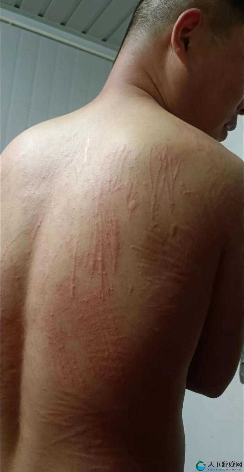 多毛逼逼：那些关于多毛逼逼的有趣探讨