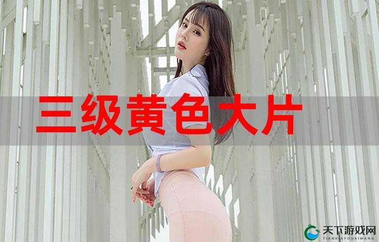 关于三级璜铯刘婷的相关事件及后续发展探讨