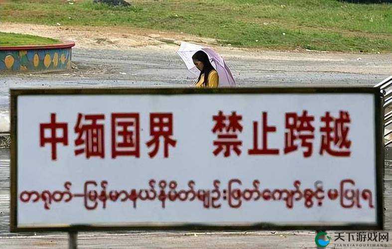 专门看缅北视频软件：带你领略不一样的缅北风情世界