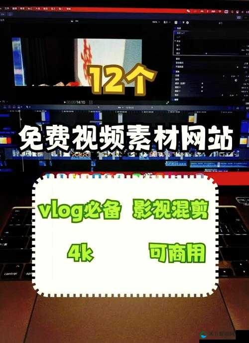 无需付费视频大全：涵盖各类精彩视频的宝库