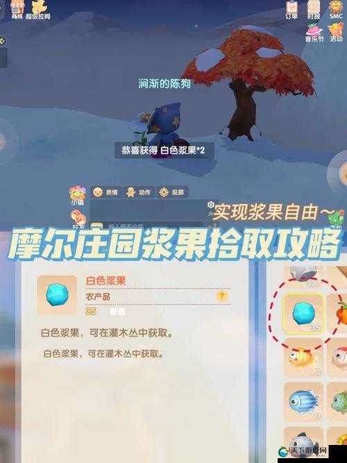 摩尔庄园手游白色浆果位置一览