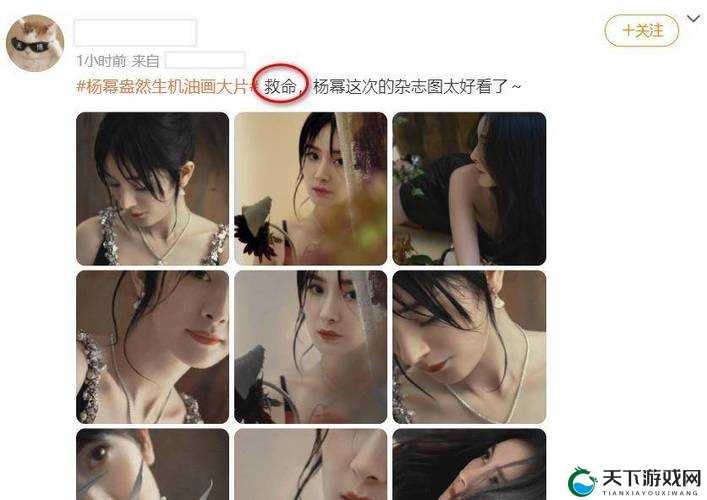 女明星 H 合成图引发的别样视觉冲击与故事探讨