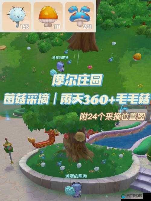 摩尔庄园手游毛毛菇获得攻略