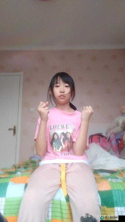 初中生张婉莹铅笔的独特魅力与故事