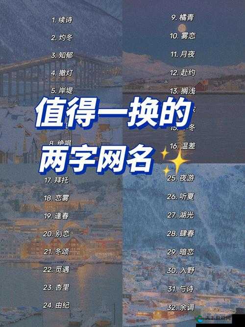 4h 换哪个网名了：网络 ID 大揭秘